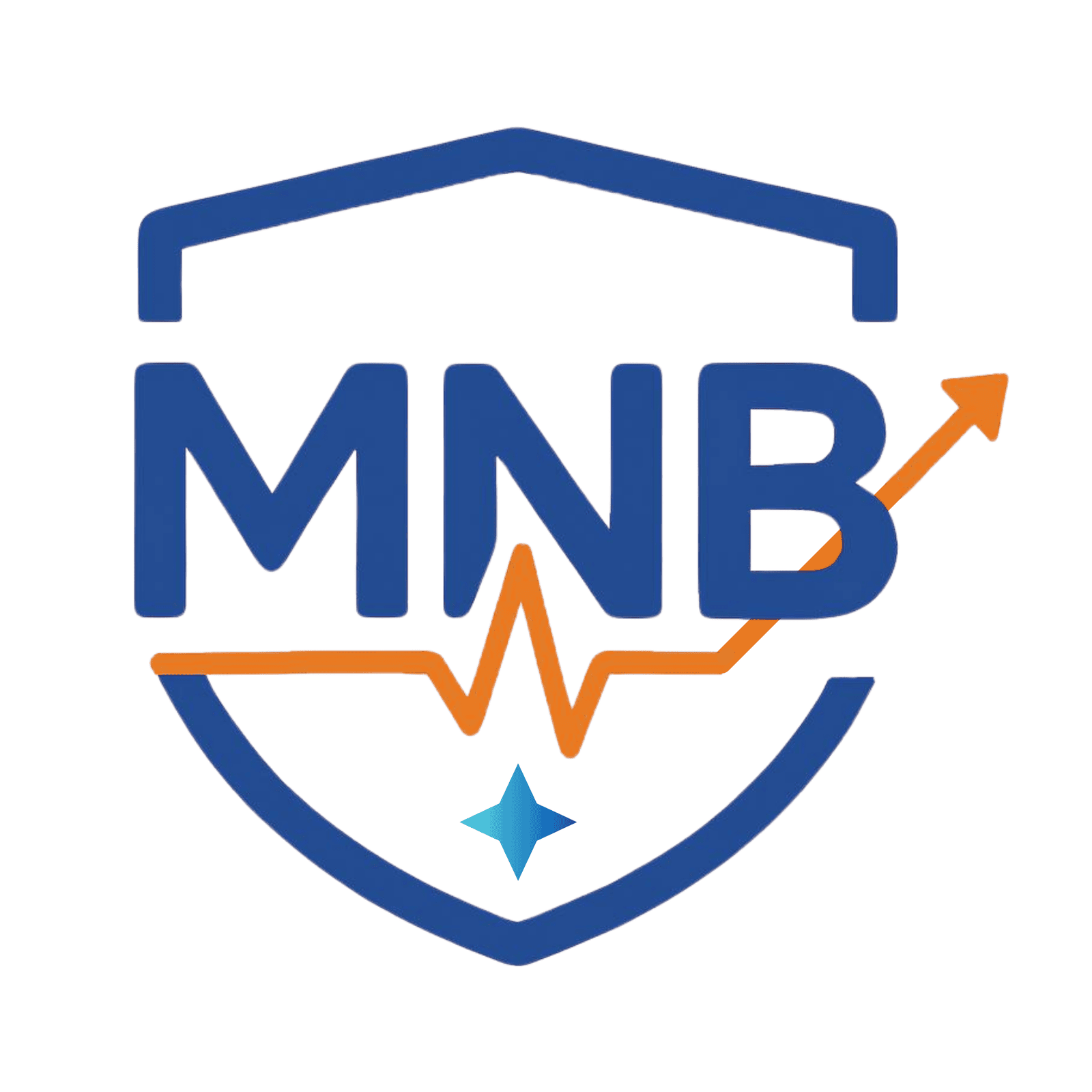 MNB Data Informatics Inc